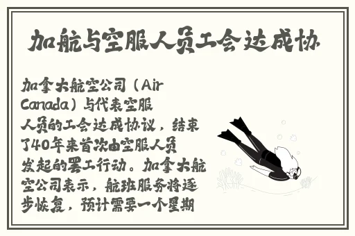 精品乱码免费开放